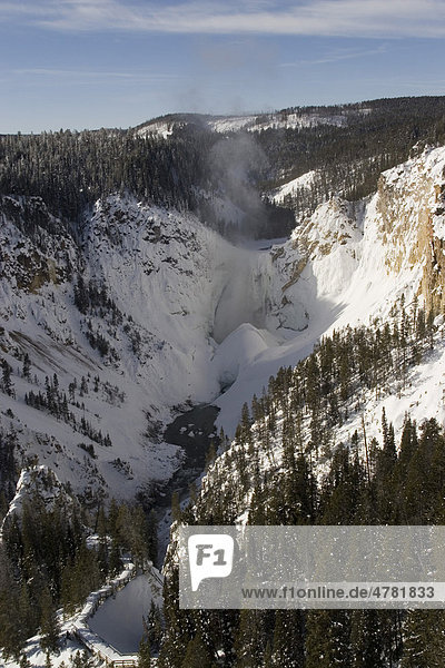 Lower Falls Wasserfälle des Yellowstone Rivers Yellowstone-Nationalpark Wyoming USA Nordamerika