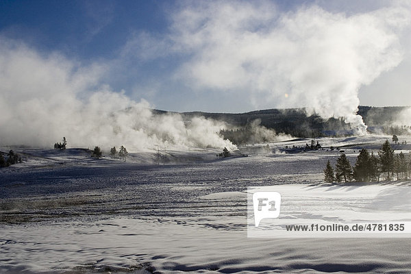 Dampf steigt auf  geothermische Aktivitäten  Upper Geyser Basin  Yellowstone-Nationalpark  Wyoming  USA  Nordamerika