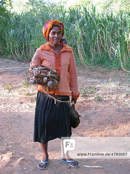 Frau mit Hühnern  Madagaskar  Afrika