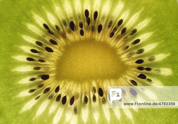 Kiwi (Actinidia chinensis)  Nahaufnahme einer Scheibe mit Samenkörnern