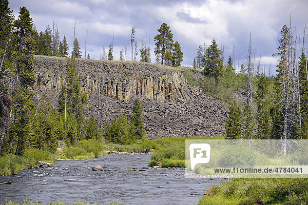 Basaltsäulen der Sheepeater Cliffs  auch Tukuaduka  Gardner River  Yellowstone Nationalpark  Wyoming  Vereinigte Staaten von Amerika  USA