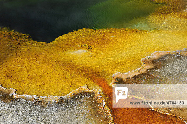 Emerald Pool Geysir  Abflussgebiet  farbige thermophile Bakterien  Mikroorganismen  geothermische Quellen  Black Sand Basin  Upper Geyser Basin  Yellowstone National Park Nationalpark  Wyoming  Vereinigte Staaten von Amerika  USA