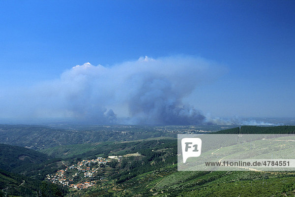 Waldbrand im Parque Natural da Serra da Estrela Naturpark  Loriga  Beira Alta  Portugal  Europa