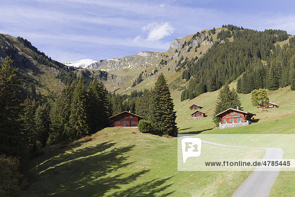 Almhütten am First oberhalb von Grindelwald  Berner Oberland  Kanton Bern  Schweiz  Europa