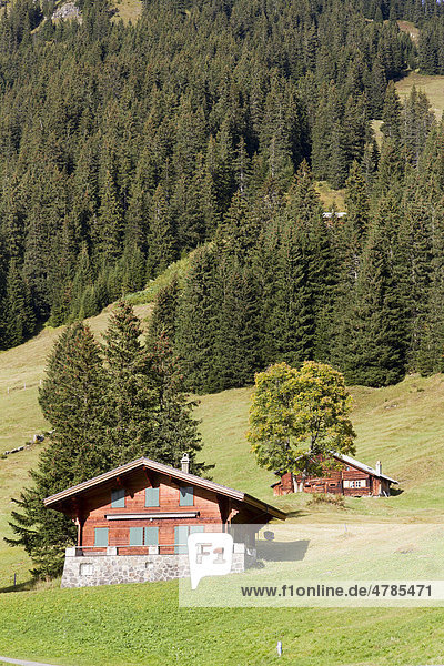 Almhütten am First oberhalb von Grindelwald  Berner Oberland  Kanton Bern  Schweiz  Europa