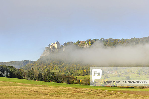 Nebelstimmung mit dem Schloss Werenwag im herbstlichen oberen Donautal  Landkreis Sigmaringen  Baden-Württemberg  Deutschland  Europa