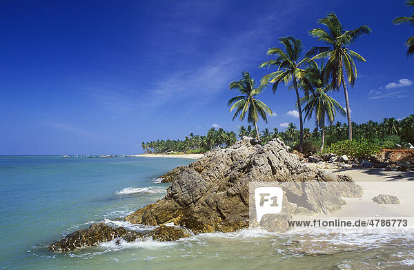 Palmenstrand  Klong Khong Beach  Insel Ko Lanta  Krabi  Thailand  Südostasien