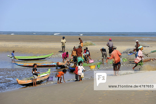 Malagasy people fishing in the morning  Morondava  Madagascar  Africa