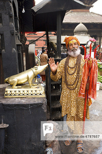 Sahdu  ein heiliger Mann posiert mit goldenem Schwein  Durbar Square  Kathmandu  Nepal  Asien