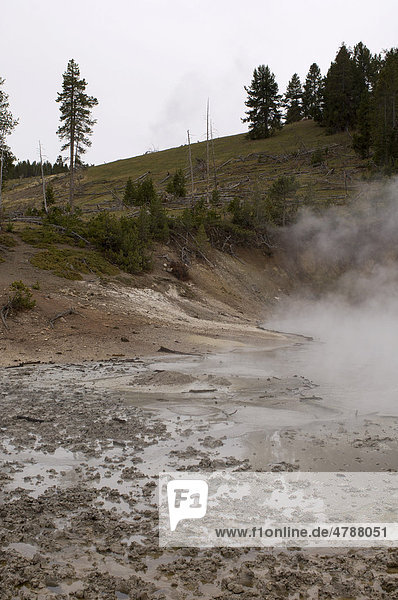 Schlammgebiet Mud Volcano Area  Yellowstone-Nationalpark  Wyoming  USA  Amerika