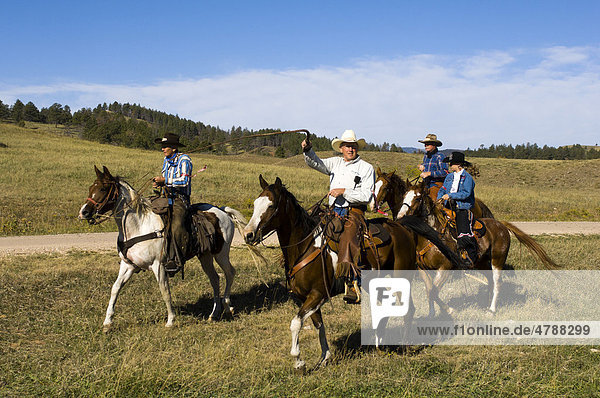 Cowboys at Bison Roundup  Custer State Park  Black Hills  South Dakota  USA  America