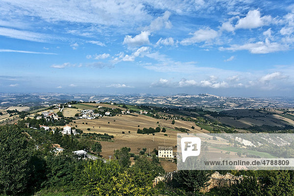 Hügel der Region Marche von Monterubbiano  Fermo  Marken  Italien  Europa