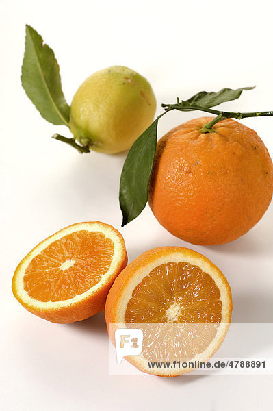 Orangen (Citrus _aurantium L.)