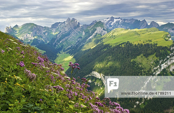 Blick vom Hohen Kasten im Alpstein  Appenzell  Schweiz  Europa