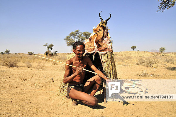 Man of the Khomani-San tribe with spear and traditional clothing in front of a thatched hut in the Kalahari  South Africa  Africa