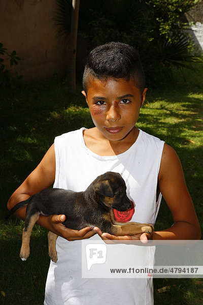 Boy holding a puppy in his arms  Fortaleza  Cear·  Brazil  South America