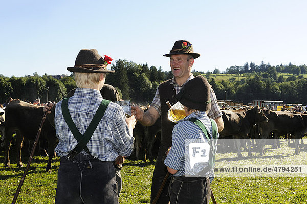 Two young boys and a shepherd during the Almabtrieb  cattle drive  Viehscheid  sorting of cattle in Pfronten  Ostallgaeu  Allgaeu  Swabia  Bavaria  Germany  Europe