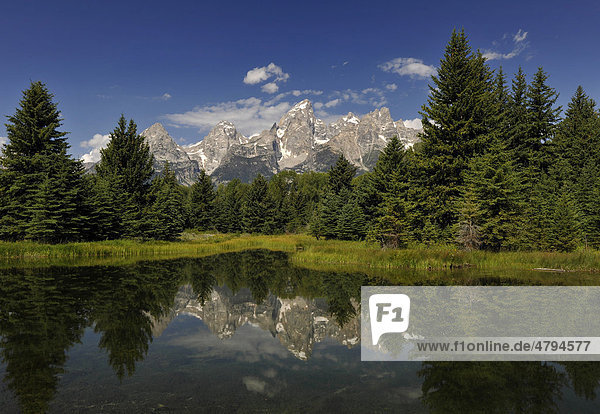 Snake River Fluss Schwabacher Landing vor Teton Range Bergkette Grand Teton National Park Nationalpark Wyoming Vereinigte Staaten von Amerika USA