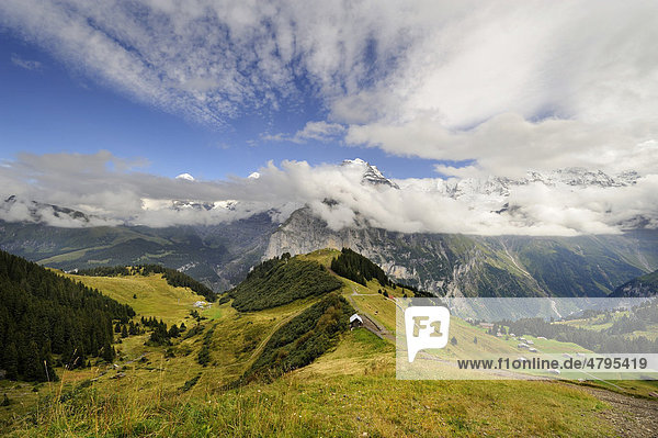 Blick hinab zum Allmendhubel  unterhalb des Schilthorns zu den wolkenverhangenen Berner Alpen  Kanton Bern  Schweiz  Europa