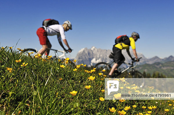 Mountainbiker auf der Eggenalm  hinten der Wilde Kaiser  Reit im Winkl  Bayern  Deutschland  Tirol  Österreich  Europa