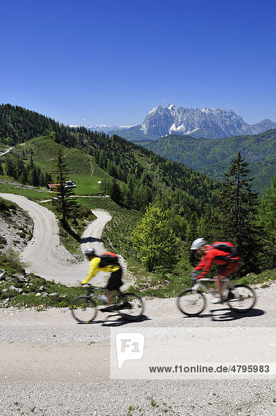 Mountain bikers  downhill to Kreuzangeralm  Mt. Wilder Kaiser at back  in Tyrol  Austria  Reit im Winkl  Bavaria  Germany  Europe