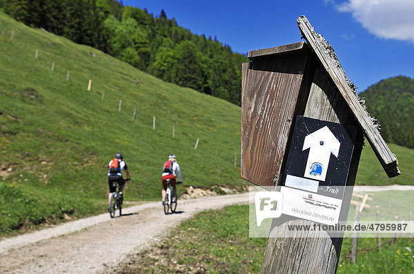 Mountain biker  dsv-activ Trail  Reit im Winkl  Bavaria  Germany  Europe