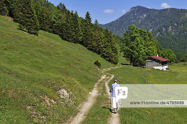 Hiker  dsv-activ Trail  Reit im Winkl  Bavaria  Germany  Europe