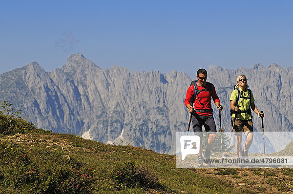 Hikers on the Eggenalm mountain pasture near the Straubinger Haus alpine lodge  in the back Mt. Wilder Kaiser  Reit im Winkl  Chiemgau  Upper Bavaria  Bavaria  Germany  Tyrol  Austria  Europe