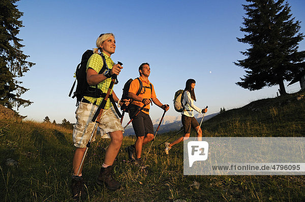 Hikers on the Winklmoosalm mountain pasture  Reit im Winkl Chiemgau  Upper Bavaria  Bavaria  Germany  Europe