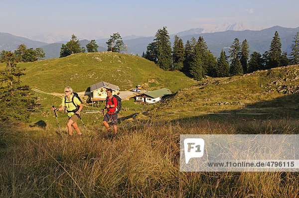 Hikers  Stoibenmoeser Alm alpine pasture  Taubensee  Reit im Winkl  Chiemgau  Upper Bavaria  Bavaria  Germany  Europe