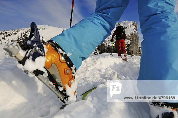 Skifahrer auf Skitour auf Steinplatte  Reit im Winkl  Chiemgau  Oberbayern  Deutschland  Europa