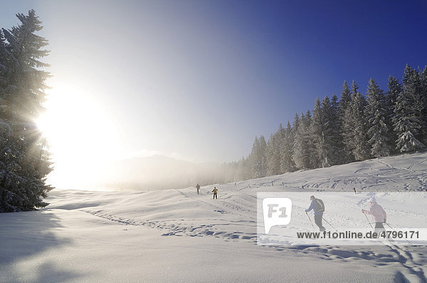 Hikers on a winter hike walking on Germany's first premium winter hiking track  Hemmersuppenalm alp  Reit im Winkl  Bavaria  Germany  Europe
