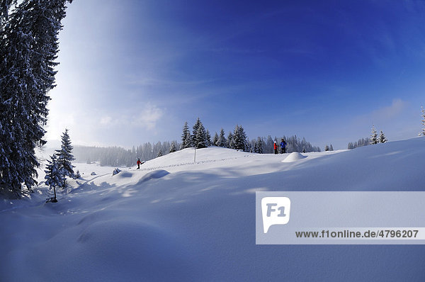 Wanderer bei Winterwanderung auf dem ersten Premium-Winterwanderweg Deutschlands Hemmersuppenalm Reit im Winkl Bayern Deutschland Europa