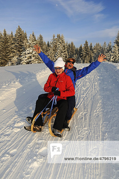 Sleigh ride on a winter hike on the first premium winter trail in Germany  Hemmersuppenalm mountain pasture  Reit im Winkl  Bavaria  Germany  Europe