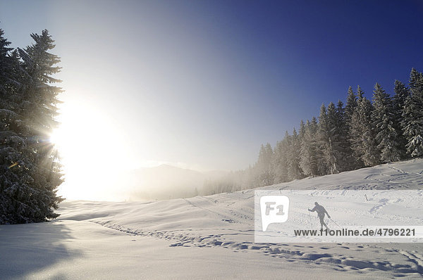 Wanderer bei Winterwanderung auf dem ersten Premium-Winterwanderweg Deutschlands  Hemmersuppenalm  Reit im Winkl  Bayern  Deutschland  Europa