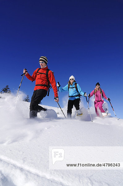 Schneeschuhläufer beim Schneeschuhlaufen  Hemmersuppenalm  Reit im Winkl  Bayern  Deutschland  Europa