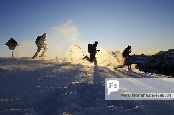 Snowshoers on a snowshoe hiking tour  Eggenalm alp  Tyrol  Tirol  Austria  Europe