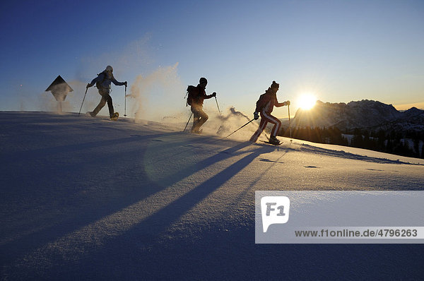 Snowshoers on a snowshoe hiking tour  Eggenalm alp  Tyrol  Tirol  Austria  Europe