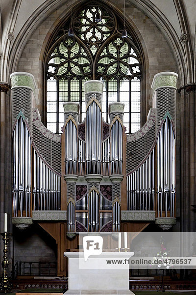 Die Orgel im Dom von Münster  Nordrhein-Westfalen  Deutschland  Europa