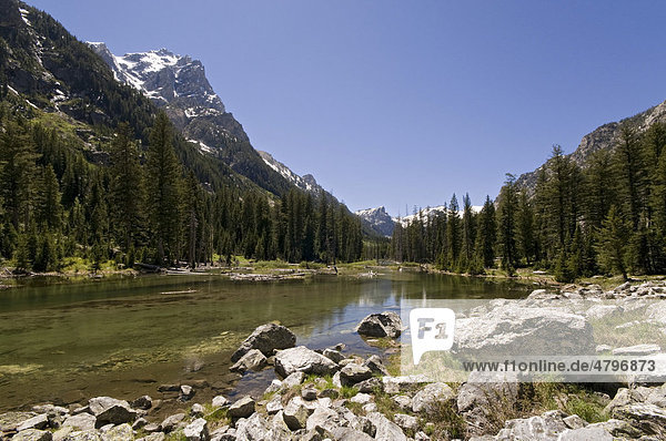 Fluss Cascade Creek Cascade Canyon Grand Teton Nationalpark Wyoming USA Nordamerika