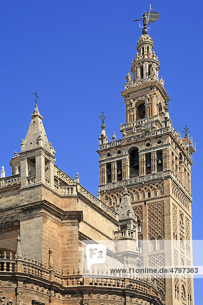 Kathedrale Santa Maria  Giralda  Sevilla  Andalusien  Südspanien  Spanien  Europa
