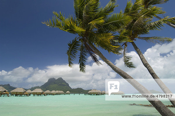 Strand  Pearl Beach Resort  Bora Bora  Französisch-Polynesien  Süd-Pazifik
