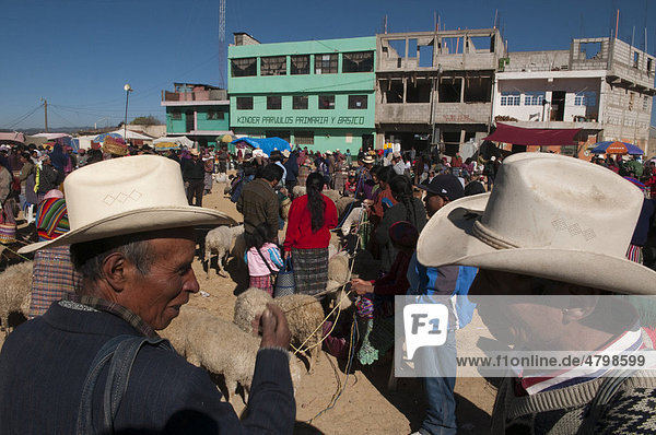 Viehmarkt in San Francisco El Alto  Guatemala  Zentralamerika