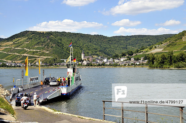 Car ferry from Niederheimbach  Rhineland-Palatinate  to Lorch on the other side of the Rhine River  UNESCO World Heritage Cultural Landscape Upper Middle Rhine Valley  Hesse  Germany  Europe