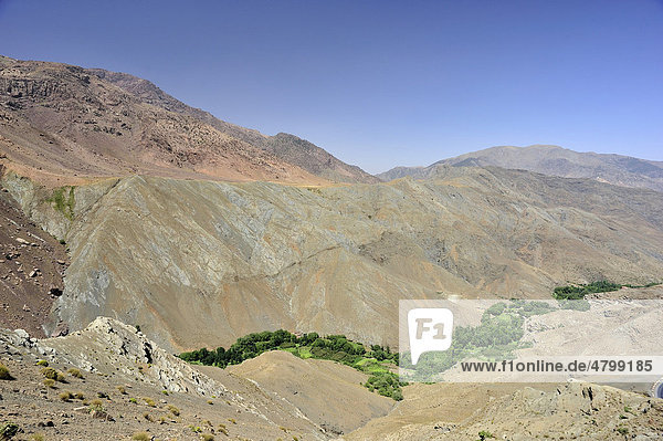 Flusstal mit Berbersiedlung  kleinen Feldern und Bäumen  Hoher Atlas  Marokko  Afrika