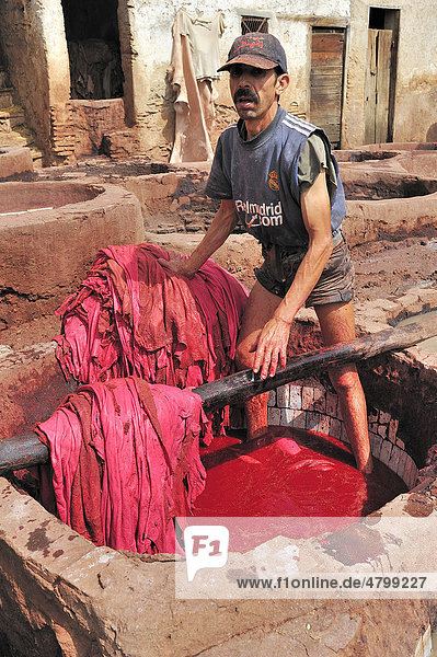 Ein Arbeiter steht in einer Gerberei in einem Bottich mit roter Farbe zum Färben der Leder Gerber- und Färberviertel FËs Marokko Afrika