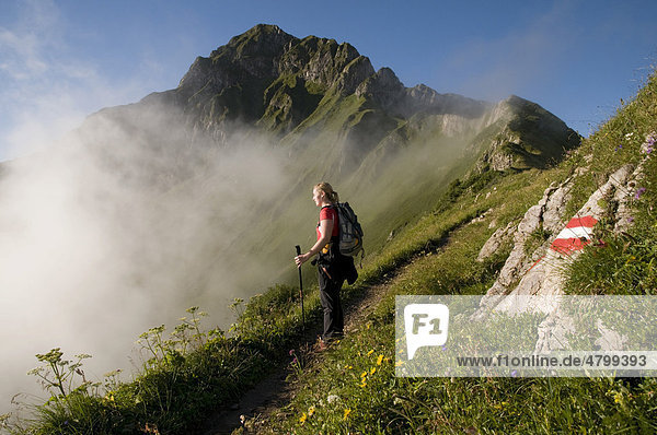 Hiker on Mt. Eisenerzer Reichenstein  Eisenerz  Styria  Austria  Europe