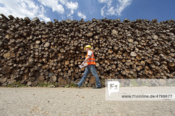 Pfleiderer AG company  production site for chipboards  worker in protective clothing in front of piled up logs  Neumarkt  Bavaria  Germany  Europe