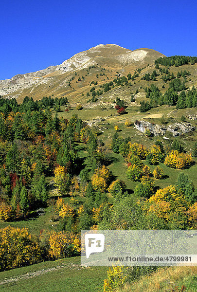 Nationalpark Mercantour  Alpes-de-Haute-Provence  Frankreich  Europa