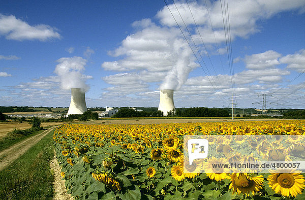Kernkraftwerk und Sonnenblumenfeld  Frankreich  Europa